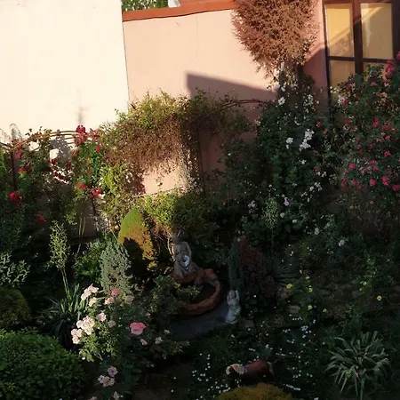 ゲストハウス Vila Nely *