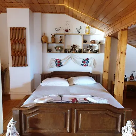 Pensión Vila Nely Constanţa